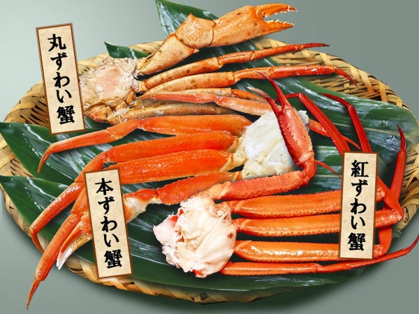 新春!初詣福袋ミステリーツアー【大和八木・橿原神宮・五位堂発】1